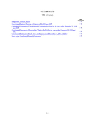 F-1
Financial Statements
Table of Contents
Page
Independent Auditors’ Report
Consolidated Balance Sheets as of December 31, 2018 and 2017
Consolidated Statements of Operations and Comprehensive Loss for the years ended December 31, 2018
and 2017
Consolidated Statements of Stockholders’ Equity (Deficit) for the years ended December 31, 2018 and
2017
Consolidated Statements of Cash Flows for the years ended December 31, 2018 and 2017
Notes to the Consolidated Financial Statements
F-2
F-3
F-4
F-5
F-6
F-7
 
