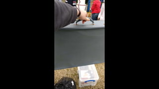 Prop store management and evidence