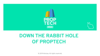 © 2019 Advisay. All rights reserved.
DOWN THE RABBIT HOLE
OF PROPTECH
 