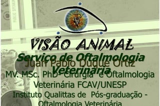 VISÃO  ANIMAL Serviço de Oftalmologia Veterinária Juan Pablo Duque Ortiz MV. MSc. PhD- Cirurgia  e Oftalmologia Veterinária FCAV/UNESP Instituto Qualittas de  Pós-graduação - Oftalmologia Veterinária 