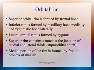 Lateral Rim Proptosis | ODP