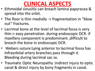 CLINICAL ASPECTS
• Ethmoidal sinusitis can breach lamina papyracea &
spread into the orbit.
• The floor is thin medially -> fragmentation in “blow
out” fractures.
• Lacrimal bone at the level of lacrimal fossa is very
thin-> easy penetration during endoscopic DCR. if
maxillary component is predominant ,difficult to
breach the bone in endoscopic DCR.
• Webers suture:Lying anterior to lacrimal fossa has
Infraorbital artery branches pass through it.
Bleeding during lacrimal sac sx.
• Traumatic Optic Neuropathy :indirect injury to optic
canal & direct injury by bony fragments in canal.
 