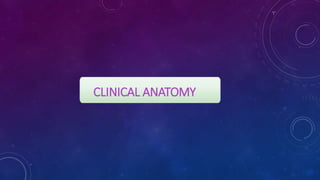 CLINICAL ANATOMY
 