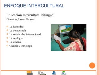 ENFOQUE INTERCULTURAL Educación Intercultural bilingüe Líneas de formación para: La identidad La democracia La solidaridad internacional La ecología La estética Ciencia y tecnología 