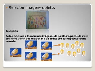    Relacion imagen- objeto.




Propuesta

Se les mostrara a los alumnos imágenes de pollitos y granos de maíz.
Los niños tienen que relacionar a un pollito con su respectivo grano
de maíz.
 
