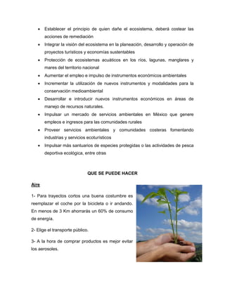  Establecer el principio de quien dañe el ecosistema, deberá costear las
acciones de remediación
 Integrar la visión del ecosistema en la planeación, desarrollo y operación de
proyectos turísticos y economías sustentables
 Protección de ecosistemas acuáticos en los ríos, lagunas, manglares y
mares del territorio nacional
 Aumentar el empleo e impulso de instrumentos económicos ambientales
 Incrementar la utilización de nuevos instrumentos y modalidades para la
conservación medioambiental
 Desarrollar e introducir nuevos instrumentos económicos en áreas de
manejo de recursos naturales.
 Impulsar un mercado de servicios ambientales en México que genere
empleos e ingresos para las comunidades rurales
 Proveer servicios ambientales y comunidades costeras fomentando
industrias y servicios ecoturísticos
 Impulsar más santuarios de especies protegidas o las actividades de pesca
deportiva ecológica, entre otras
QUE SE PUEDE HACER
Aire
1- Para trayectos cortos una buena costumbre es
reemplazar el coche por la bicicleta o ir andando.
En menos de 3 Km ahorrarás un 60% de consumo
de energía.
2- Elige el transporte público.
3- A la hora de comprar productos es mejor evitar
los aerosoles.
 