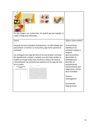 15
Ya que tengan sus instructivos les pediré que por equipos lo
suban al blog que realizamos.
Cierre
Después de esta actividad comentaremos las dificultades que
presentaron al realizar su instructivo y que tal les pareció la
actividad
Les entregaré una sopa de letra en la cual vendrán animales
de reproducción vivípara y ovípara y en otra hoja vendrá un
cuadro en el que tienen que clasificar y colocar de manera
correctamente los animales que aparecen en la sopa de letra
en el cuadro
¿Qué y cómo evalúa?
Si los alumnos
identifican los
animales vivíparo o
ovíparos
Que los alumnos
desarrollen la
habilidad para
describir un
procedimiento.
Conocimientos que
adquirieron al final
de la actividad.
Técnica:
Interrogatorio
Instrumento:
Sopa de letras
 