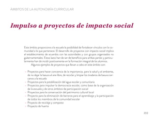 Impulso a proyectos de impacto social
ÁMBITOS DE LA AUTONOMÍA CURRICULAR
Este ámbito proporciona a la escuela la posibilidad de fortalecer vínculos con la co-
munidad a la que pertenece. El desarrollo de proyectos con impacto social implica
el establecimiento de acuerdos con las autoridades y con grupos organizados no
gubernamentales. Estos lazos han de ser de beneﬁcio para ambas partes y particu-
larmente han de incidir positivamente en la formación integral de los alumnos.
Algunos ejemplos de proyectos que llevan a cabo en este ámbito son:
Proyectos para hacer conciencia de la importancia, para la salud y el ambiente,
de no dejar la basura al aire libre, de reciclar y limpiar los tiraderos de basura cer-
canos a la escuela
Proyectos para la potabilización del agua escolar y comunitaria
Proyectos para impulsar la democracia escolar, como base de la organización
de la escuela y de otros ámbitos de participación social
Proyectos para la conservación del patrimonio cultural local
Proyecto para la eliminación de barreras para el aprendizaje y la participación
de todos los miembros de la comunidad escolar
Proyecto de reciclaje y composta
Proyecto de huerta
203
 