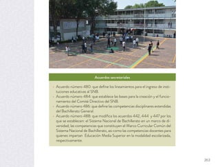 Acuerdos secretariales
Acuerdo número 480: que deﬁne los lineamientos para el ingreso de insti-
tuciones educativas al SNB.
Acuerdo número 484: que establece las bases para la creación y el funcio-
namiento del Comité Directivo del SNB.
Acuerdo número 486: que deﬁne las competencias disciplinares extendidas
del Bachillerato General.
Acuerdo número 488: que modiﬁca los acuerdos 442, 444 y 447 por los
que se establecen: el Sistema Nacional de Bachillerato en un marco de di-
versidad; las competencias que constituyen el Marco Curricular Común del
Sistema Nacional de Bachillerato, asi como las competencias docentes para
quienes impartan Educación Media Superior en la modalidad escolarizada,
respectivamente.
263
 