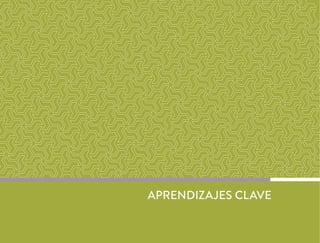 APRENDIZAJES CLAVE
 
