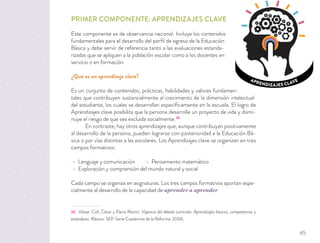 APRENDIZAJES CLAVE
PRIMER COMPONENTE: APRENDIZAJES CLAVE
Este componente es de observancia nacional. Incluye los contenidos
fundamentales para el desarrollo del perﬁl de egreso de la Educación
Básica y debe servir de referencia tanto a las evaluaciones estanda-
rizadas que se apliquen a la población escolar como a los docentes en
servicio o en formación.
¿Qué es un aprendizaje clave?
Es un conjunto de contenidos, prácticas, habilidades y valores fundamen-
tales que contribuyen sustancialmente al crecimiento de la dimensión intelectual
del estudiante, los cuales se desarrollan especíﬁcamente en la escuela. El logro de
Aprendizajes clave posibilita que la persona desarrolle un proyecto de vida y dismi-
nuye el riesgo de que sea excluida socialmente.23
En contraste, hay otros aprendizajes que, aunque contribuyan positivamente
al desarrollo de la persona, pueden lograrse con posterioridad a la Educación Bá-
sica o por vías distintas a las escolares. Los Aprendizajes clave se organizan en tres
campos formativos:
Lenguaje y comunicación Pensamiento matemático
Exploración y comprensión del mundo natural y social
Cada campo se organiza en asignaturas. Los tres campos formativos aportan espe-
cialmente al desarrollo de la capacidad de aprender a aprender.
23 Véase: Coll, César y Elena Martin. Vigencia del debate curricular. Aprendizajes básicos, competencias y
estándares. México: SEP. Serie Cuadernos de la Reforma. 2006.
65
 
