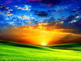 Propuesta Ambiental 3