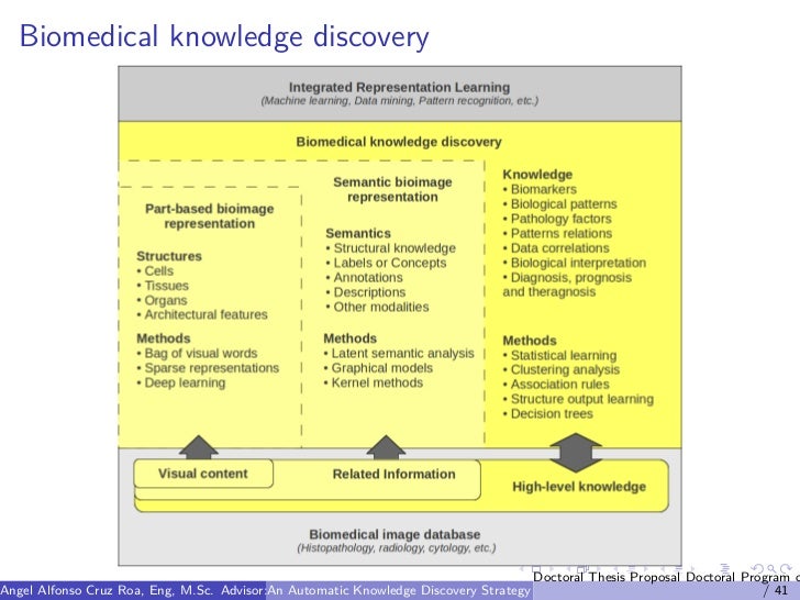 Dissertation knowledge discovery in databases