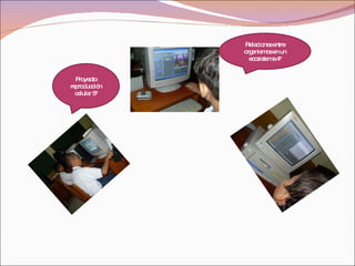 Proyecto reproducción celular 5º Relaciones entre organismos en un ecosistema 4º 