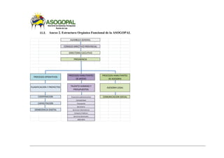 11.2. Anexo 2. Estructura Orgánico Funcional de la ASOGOPAL
PROCESOS HABILITANTES
DE APOYO
TALENTO HUMANO Y
PRESUPUESTOS
Financiero administrativo
Contabilidad
Transporte
Secretaria
Servicios informaticos
Compras Publicas
Servicios Generales
MIES-INFA
COOPERACION
CAPACITACION
DEMOCRACIA DIGITAL
ASAMBLEA GENERAL
CONSEJO DIRECTIVO PROVINCIAL
DIRECTORIO EJECUTIVO
PRESIDENCIA
PROCESOS HABILITANTES
DE ASESORIA
ASESORIA LEGAL
COMUNICACION SOCIAL
PLANIFICACION Y PROYECTOS
PROCESOS OPERATIVOS
 