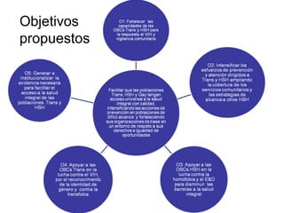 Objetivos propuestos 