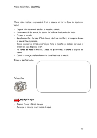 Anaida Martín Haro. 03904116G
51
Ahora vais a realizar, en grupos de tres, el esqueje en tierra. Sigue los siguientes
pasos:
- Coge un tallo terminado en flor. Si hay flor, córtala.
- Date cuenta de las yemas, los puntos del tallo de donde salen las hojas.
- Prepara la maceta.
- Mezcla mantillo y turba o 1/3 de tierra y 2/3 de mantillo; y arena para drenar
el agua si hay demasiada.
- Coloca piedrecitas en los agujeros que tiene la maceta por debajo, para que el
exceso de agua se pueda colar.
- No llenes del todo la maceta. Coloca las piedrecitas, la arena y un poco de
tierra.
- Coloca el esqueje y rellena la maceta con el resto de la mezcla.
Dibuja lo que has hecho
Fotografíalo
Esqueje en agua
- Coge un frasco y llénalo de agua
- Sumerge el esqueje en un frasco de agua.
 