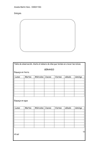 Anaida Martín Haro. 03904116G
52
Dibújalo
Tabla de observación. Anota el número de días que tardan en crecer las raíces.
GERANIO
Esqueje en tierra
Lunes Martes Miércoles Jueves Viernes sábado domingo
Esqueje en agua
Lunes Martes Miércoles Jueves Viernes sábado domingo
Al sol
 