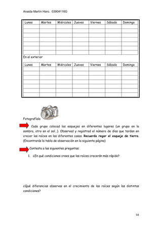 Anaida Martín Haro. 03904116G
54
Fotografíalo
Cada grupo colocad los esquejes en diferentes lugares (un grupo en la
sombra, otro en el sol…). Observad y registrad el número de días que tardan en
crecer las raíces en los diferentes casos. Recuerda regar el esqueje de tierra.
(Encontrarás la tabla de observación en la siguiente página)
Contesta a las siguientes preguntas:
1. ¿En qué condiciones crees que las raíces crecerán más rápido?
¿Qué diferencias observas en el crecimiento de las raíces según las distintas
condiciones?
Lunes Martes Miércoles Jueves Viernes Sábado Domingo
En el exterior
Lunes Martes Miércoles Jueves Viernes Sábado Domingo
 