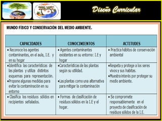 Conocedor  de las características del desarrollo biopsíquico de sus estudiantes y de la utilización de enfoques pedagógicos cooperativos y de trabajo en equipo.