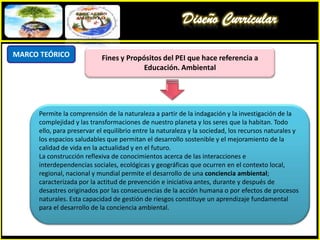 Diseño CurricularJustificación La creciente percepción de los problemas ambientales que inciden en la calidad de vida  de la sociedad.Incorporar  contenidos de educación ambiental en el área de ciencia y ambiente en  el primer grado de educación primaria de la I.E Pedro Pablo AtuspariaDesarrollar competencias curriculares que nos permitan formar alumnos/as comprometidas  con la preservación y cuidado del medio ambiente.¿Por qué ?¿Qué hacer ?¿Para qué?