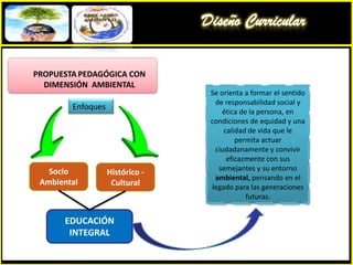 Diseño CurricularMARCO TEÓRICOPRINCIPIOS EDUCACIONALES DE LA I.E Conciencia AmbientalÉticaSISTEMAI.ECalidadEquidadDemocraciaInclusión Educación orientada al desarrollo HumanoInterculturalidad