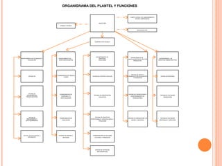 ORGANIGRAMA DEL PLANTEL Y FUNCIONES DIRECCIÓN COMITÉ CONSULTIVO ASESORAMIENTO TÉCNICO EMPRESARIAL CONSEJO TÉCNICO ASOCIACIÓN CIVIL SUBDIRECCIÒN TÈCNICA DEPARTAMENTO DE PLANEACIÓN Y EVALUACIÓN DEPARTAMENTO DE  SERVICIOS DOCENTES DEPARTAMENTO DE  SERVICIOS  ESCOLARES DEPARTAMENTO DE  VINCULACIÓN CON EL SECTOR PRODUCTIVO DEPARTAMENTO  DE  SERVICIOS ADMINISTRATIVOS OFICINA DE COORDINACION DE TRONCO COMUN OFICINA DE CONTROL ESCOLAR OFICINA DE APOYO Y DESARROLLO DE ESTUDIANTES Y EGRESADOS OFICINA DE PERSONAL OFICINA DE PROGRAMACIÓN PRESUPUESTARIA COORDINACION DE CARRERAS Y O ESPECIALIDADES OFICINA DE ORIENTACION EDUCATIVA OFICINA DE CAPACITACION Y ADIESTRAMIENTO DE TRABAJADORES OFICINA DE RECURSOS FINANCIEROS OFICINA DE MANTENIMIENTO Y AUTO EQUIPAMIENTO COORDINACION DE EDUCACION OFICINA DE PRACTICAS PROFECIONALES, SERVICIO SOCIAL Y TITULACION OFICINA DE PRODUCCION  DE BIENES Y SERVICIOS OFICINA DE RECURSOS MATERIALES Y SERVICIOS OFICINA  DE EVALUACIÓN  E INFORMACIO OFICINA DE MEDIOS Y METODOS COORDINACION DE DIFUSION CULTURAL Y PRMOCION OFICINA DE SERVICIOS BIBLIOGRAFICOS 
