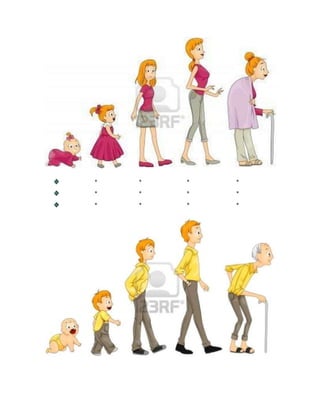 * * * *
* * * *
* * * *
 