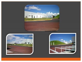 Propuesta De Contenido 5