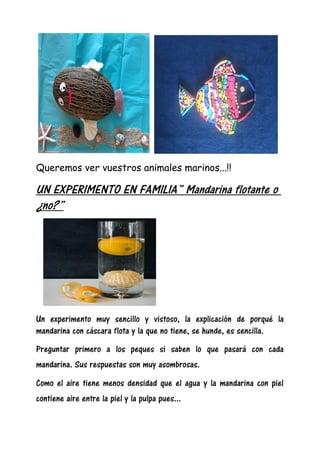 Queremos ver vuestros animales marinos...!!
UN EXPERIMENTO EN FAMILIA” Mandarina flotante o
¿no?”
Un experimento muy senci...