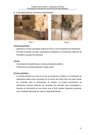 Trabajo final de carrera – Arquitectura Técnica
Propuesta de intervención en la Ermita de Santa Bárbara

b) COLONIZACIÓN DE PLANTAS SUPERIORES.

Foto 1

Foto 2

Síntomas aparentes.
-

Aparecen en zonas expuestas al agua de lluvia y con acumulación de sedimentos.

-

Se trata de plantas con gran capacidad de adaptación a condiciones extremas de
humedad y escasez de nutrientes.

Causas.
-

Acumulación de sedimentos en zonas puntuales del edificio.

-

Presencia de humedad retenida en estas zonas.

Proceso patológico.
-

La propia situación de ruina en la que se encuentra el edificio o el transporte de
sedimentos hasta zonas concretas por la acción del viento hace que sean fuente
de nutrientes para la colonización de plantas. La propia acumulación de
sedimentos provoca retención de humedad por períodos más prolongados y
favorece el crecimiento de sus raíces, que al final, acaban originando tensiones
con el material traducidas en roturas y desprendimientos.

98

 
