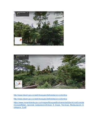 http://www.ideam.gov.co/web/bosques/deforestacion-colombia
http://www.ideam.gov.co/web/bosques/deforestacion-colombia
https://www.minambiente.gov.co/images/BosquesBiodiversidadyServiciosEcosiste
micos/pdf/plan_nacional_restauracion/Anexo_8_Guias_Tecnicas_Restauracion_E
cologica_2.pdf
 