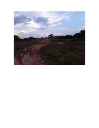 Propuesta de restaucion ecologica