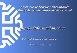 Propuesta de Trabajo y Organización    Dirección de Administración de Personal   ,[object Object],Universidad Nacional del Comahue http://edpformacion.co.cc 