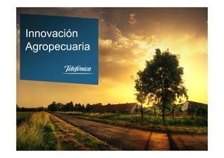 1
Estrategia y Nuevos Servicios Digitales
Telefónica España
Innovación
Agropecuaria
 