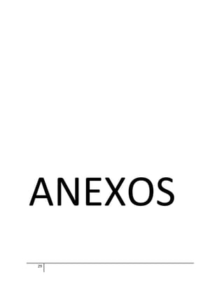 ANEXOS
29
 