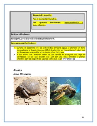 46
Anexos
Anexo #1 Imágenes
Anticipo dificultades:
Indisciplina, poca disposición al trabajo colaborativo.
Adecuaciones Curriculares:
 Durante el desarrollo de las actividades brindaré apoyo y atención un tanto
personalizada a Josué (niño con déficit de atención sin hiperactividad), claro está
sin desatender o descuidar a los demás niños del grupo.
 A los niños que terminen antes de los demás le entregaré una hoja de
actividades en las que tendrán que unir con una línea animales y plantas
silvestres con los respectivos lugares en los que viven (ver anexo 9).
Tipos de Evaluación:
Por el momento: Sumativa.
Por quienes intervienen: Heteroevaluación y
autoevaluación.
 