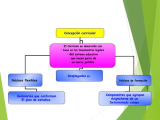 Concepción curricular

•El Currículo se desarrolla con
• base en los lineamientos legales
• del sistema educativo
• que hacen parte de
• un marco jurídico

Desplegados en
Núcleos flexibles

Seminarios que conforman
El plan de estudios

Núcleos de formación

Componentes que agrupan
Asignaturas de un
Determinado campo

 