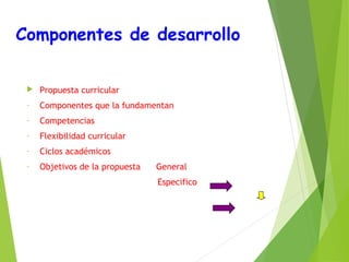 Componentes de desarrollo


Propuesta curricular

-

Componentes que la fundamentan

-

Competencias

-

Flexibilidad curricular

-

Ciclos académicos

-

Objetivos de la propuesta

General
Especifico

 
