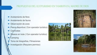 PROPUESTAS DEL ECOTURISMO EN TAMBOPATA, MADRE DE DIOS
 Avistamiento de flora
 Avistamiento de fauna
 Observación de ave...
