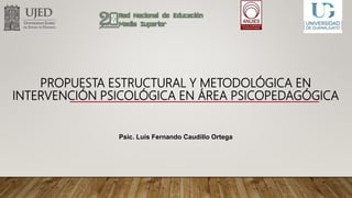 PROPUESTA ESTRUCTURAL Y METODOLÓGICA EN
INTERVENCIÓN PSICOLÓGICA EN ÁREA PSICOPEDAGÓGICA
Psic. Luis Fernando Caudillo Ortega
 