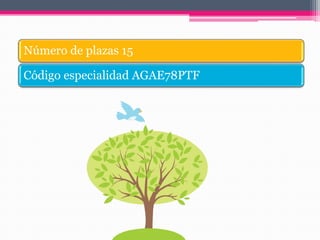 Número de plazas 15
Código especialidad AGAE78PTF
 