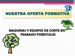 NUESTRA OFERTA FORMATIVA
MAQUINAS Y EQUIPOS DE CORTE EN
TRABAJOS FORESTALES
 