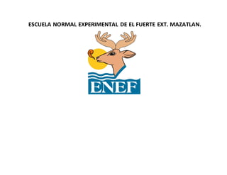 ESCUELA NORMAL EXPERIMENTAL DE EL FUERTE EXT. MAZATLAN.
 