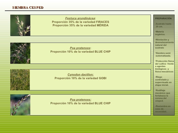 Propuesta IntervencióN De Paisaje En Un Entorno Natural