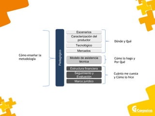 Escenarios
Caracterización del
productor
Tecnológico
Mercados
Modelo de asistencia
técnica
Estructura financiera
Seguimiento y
Evaluación
Marco jurídico
Pedagógico
Dónde y Qué
Cómo lo hago y
Por Qué
Cuánto me cuesta
y Cómo lo hice
Cómo enseñar la
metodología
 