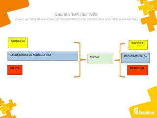 Decreto 1946 de 1989
(Diseño del SISTEMA NACIONAL DE TRANSFERENCIA DE TECNOLOGÍA AGROPECUARIA-SINTAP)
Fuente: Metodología PGAT
MADR-Corpoica
 