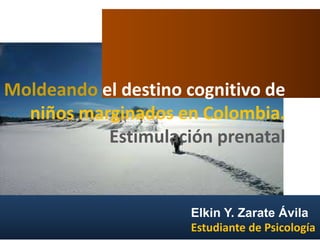 Moldeando el destino cognitivo de
niños marginados en Colombia.
Estimulación prenatal
Elkin Y. Zarate Ávila
Estudiante de Psicología
 