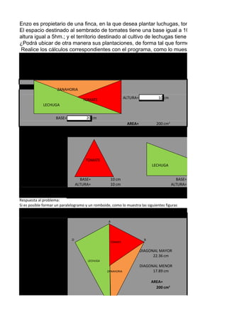Enzo es propietario de una finca, en la que desea plantar luchugas, tomates y zanahoria
El espacio destinado al sembrado de tomates tiene una base igual a 10hm. Y una altura
altura igual a 5hm.; y el territorio destinado al cultivo de lechugas tiene una base igual 2
¿Podrá ubicar de otra manera sus plantaciones, de forma tal que forme un romboide? ¿
 Realice los cálculos correspondientes con el programa, como lo muestra el siguiente gr




                     ZANAHORIA

                                    TOMATE                     ALTURA=           10 cm
             LECHUGA


                    BASE=             20 cm
                                                                AREA=           200 cm2




                                     TOMATE
                                                                              LECHUGA


                                   BASE=              10 cm                                 BASE=
                                 ALTURA=              10 cm                               ALTURA=

                                  AREA=               50 cm2                              AREA=
Respuesta al problema:
Si es posible formar un paralelogramo y un romboide, como lo muestra las siguientes figuras


                                                  A




                             D                                            B
                                                      TOMATE

                                                                         DIAGONAL MAYOR
                                                                               22.36 cm
                                      LECHUGA
                                                                         DIAGONAL MENOR
                                                 ZANAHORIA                     17.89 cm

                                                                              AREA=
                                                                                200 cm2




                                                  C
 