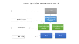 ESQUEMA OPERACIONAL POR NIVELES JERÁRQUICOS
TecNM
Instituto tecnológico
de Educación a
Distancia
División académica
Región 1
I T´s
División académica
Región N
I T´s
Nivel 2: instituto Tecnológico
Nivel 1: TecNM
Nivel 3: Nivel Regional
Nivel 4: Municipal
 